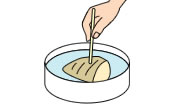 茹で方