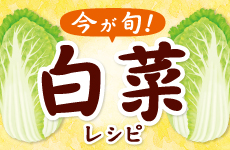 今が旬!白菜レシピ