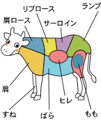 牛肉の部位