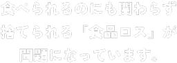 食べられるのにも関わらず捨てられる「食品ロス」が問題になっています。