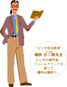 ひじき担当教授 磯部 日二樹先生 / ひじきの専門家。フィールドワークが高じて趣味は磯釣り。