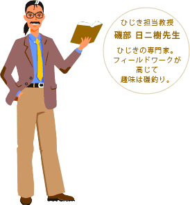 昆布担当教授 昆野 布美子先生 / 昆布の専門家で健康、美容にも詳しい。趣味は料理。