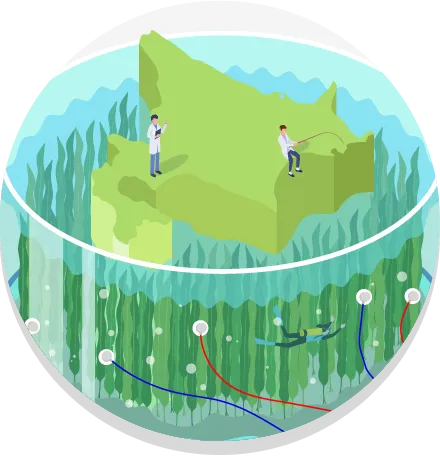 昆布の産地と種類