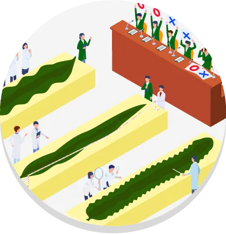 昆布のいろいろな区分