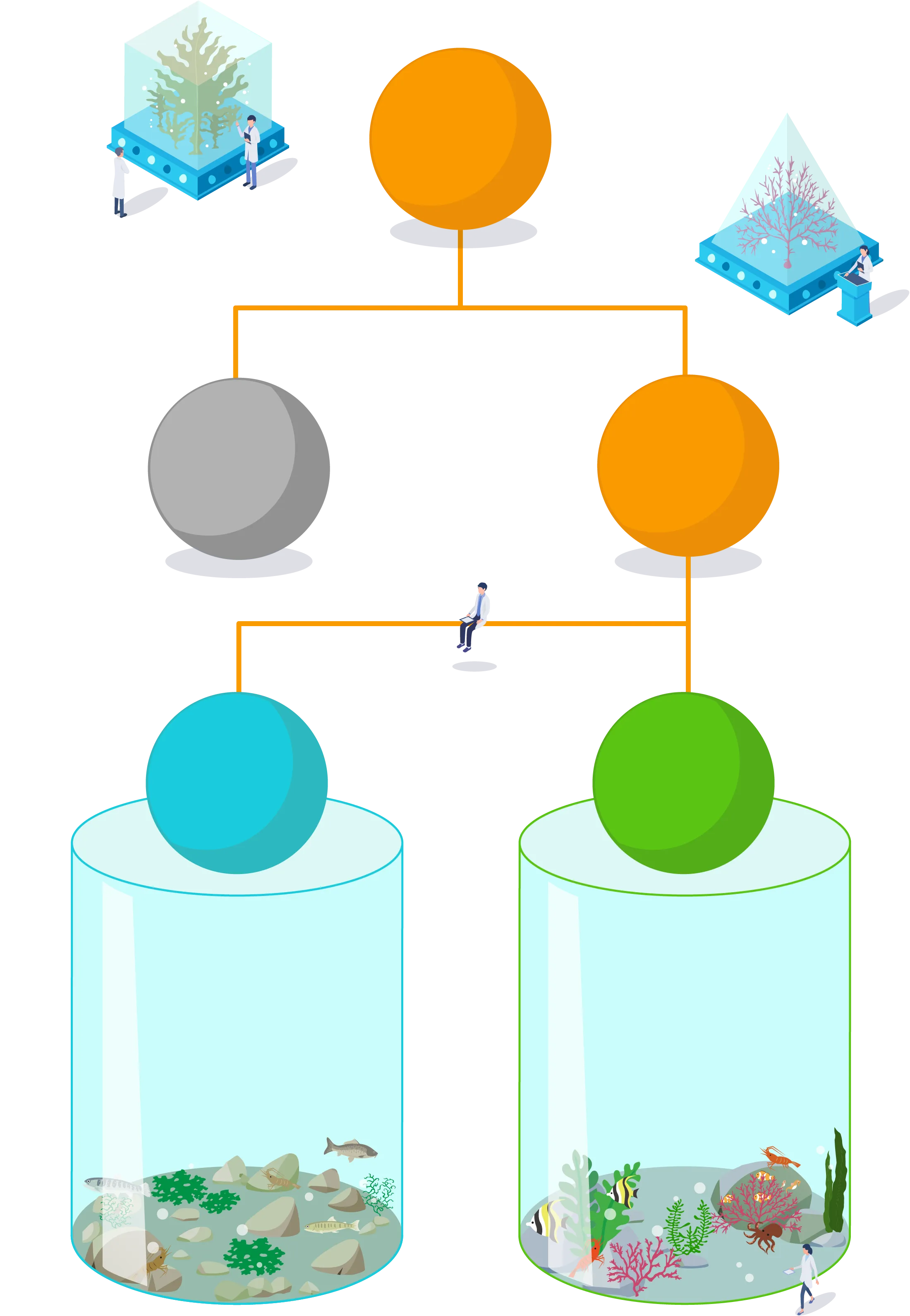 水中植物 それ以外 藻　類 根・茎・葉の区別がはっきりしないもの 淡水藻 河川など淡水に生息するもの 【藍藻類 ランソウルイ】スイゼンジノリ【珪藻類 ケイソウルイ】【車軸藻類 シャジクソウルイ】【緑藻類 リョクソウルイ】カワノリ 海　藻 海水に生息するもの 【緑藻類 リョクソウルイ】アオノリ類など【褐藻類 カッソウルイ】こんぶ、わかめ、ひじき、もずくなど【紅藻類 コウソウルイ】アマノリ類、トサカノリ（鶏冠菜）、フノリ（布海苔）、オゴノリ（於胡苔）など