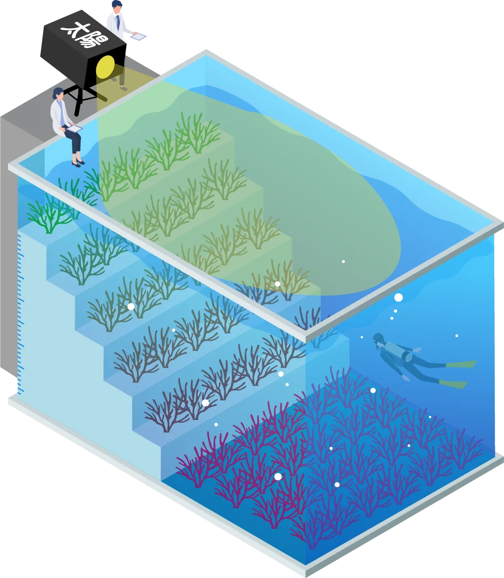 海藻の色の違いによる分類