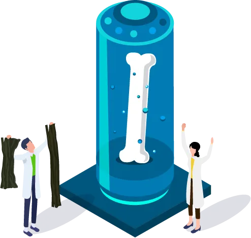 カルシウムが豊富!