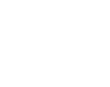 日 本