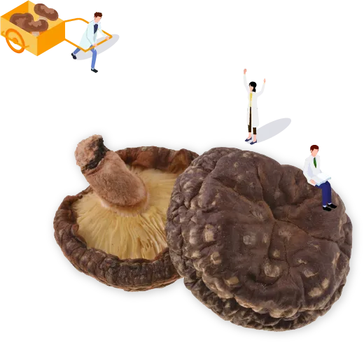 干ししいたけなどに含まれるうま味成分 「グアニル酸」