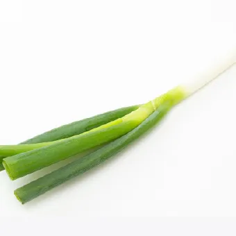長ねぎ(グルタミン酸)