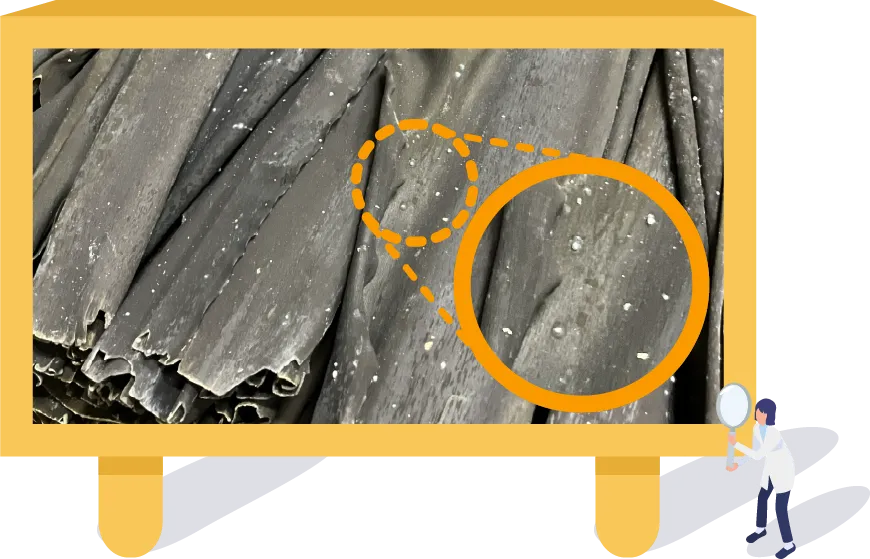 昆布の成分が固まったものです