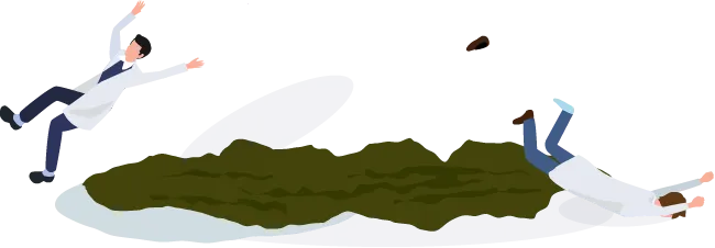 アルギン酸・フコイダンによるものです