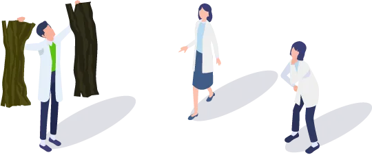 緑がかった褐色のものです