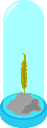 春～秋