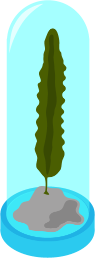 春