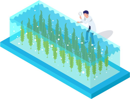 春～秋