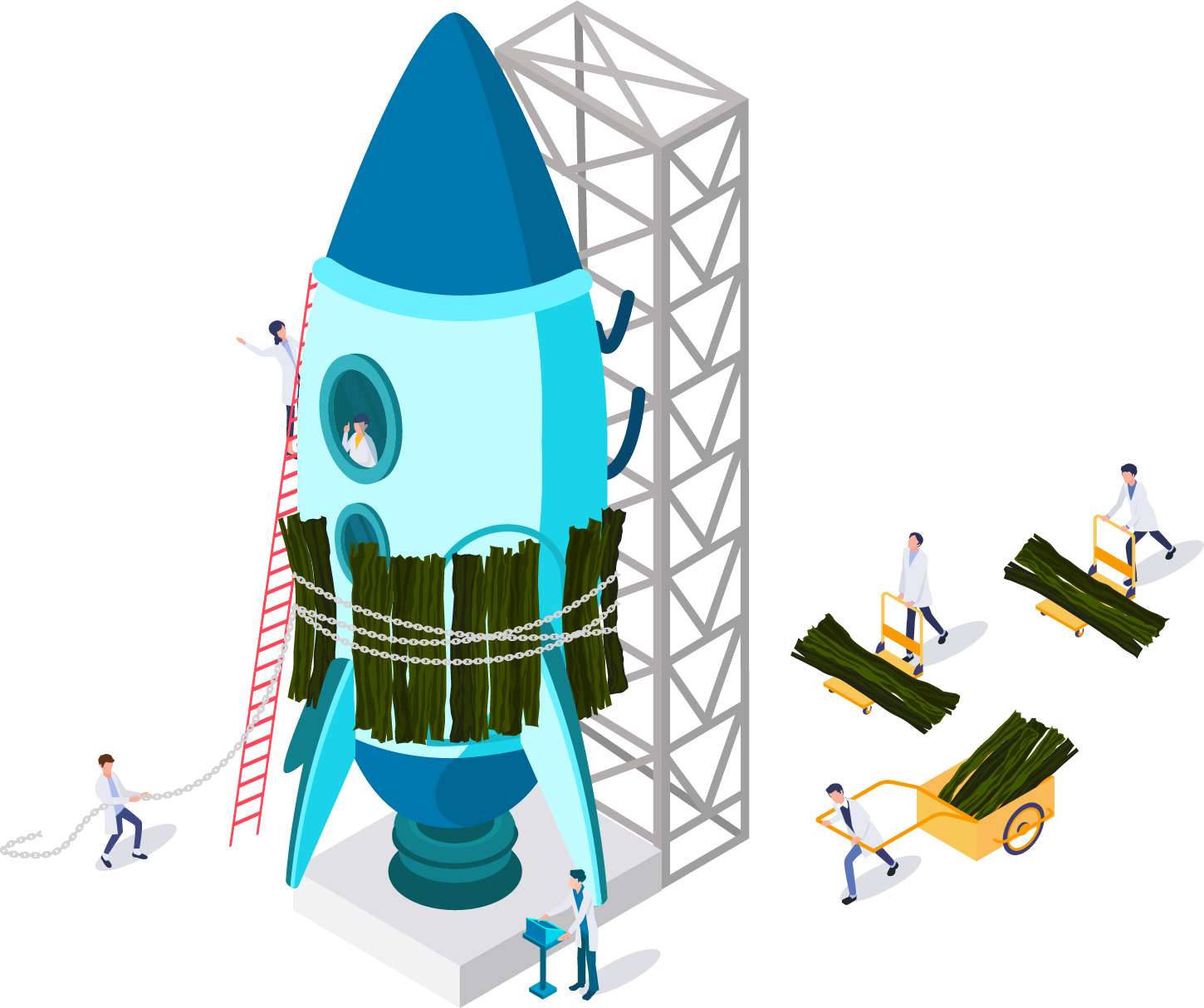 採取から出荷まで