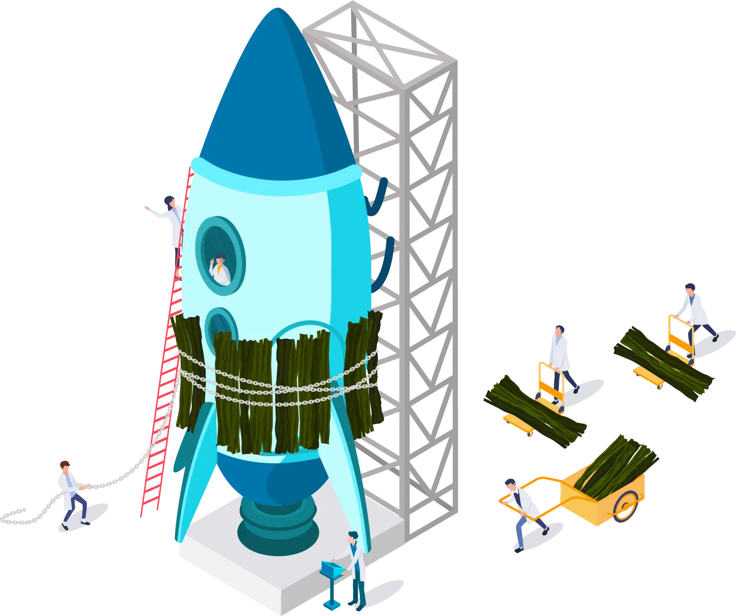 採取から出荷まで