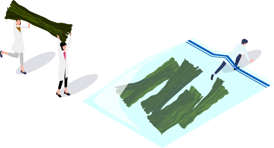 上手な保存の仕方