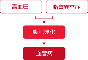 高血圧・脂質異常症→動脈硬化→血管病