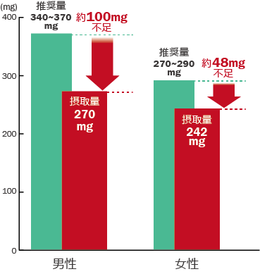 男性 推奨量:340mg~370mg、摂取量:270mg (約100mg不足) / 女性 推奨量:270~290mg、摂取量:242mg (約48mg不足)