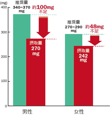 男性　推奨量：340mg～370mg、摂取量：270mｇ　（約100mｇ不足）  / 女性　推奨量：270～290mg、摂取量：242mg　（約48mg不足）