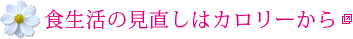 食生活の見直しはカロリーから
