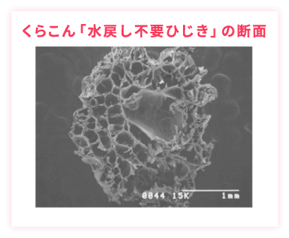 くらこん「水戻し不要ひじき」の断面