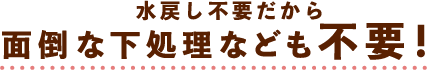 水戻し不要だから面倒な下処理なども不要！