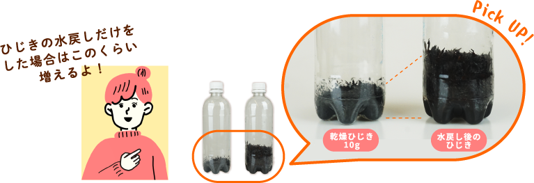 ひじきの水戻しだけをした場合はこのくらい増えるよ！