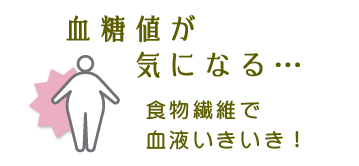 血糖値が気になる・・・食物繊維で血液いきいき！