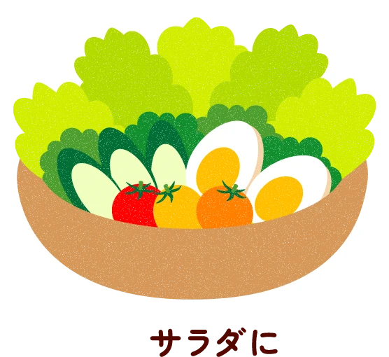 サラダに