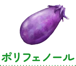 ポリフェノール