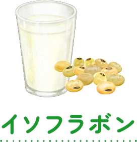 イソフラボン