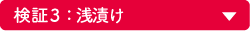検証 3：浅漬け