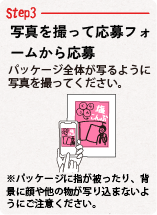Step03写真を撮って応募フォームから応募